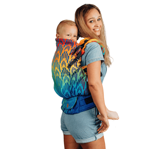 Chevron 2025 baby carrier